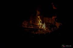 DSC00385