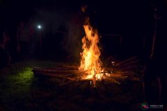 DSC00395
