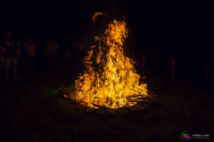 DSC00415