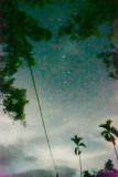 DSC00444