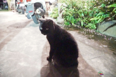 DSC00449