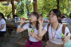DSC00667