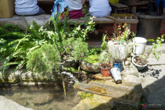 DSC00787