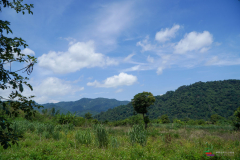 DSC00833