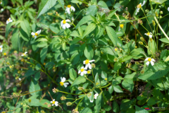 DSC00841